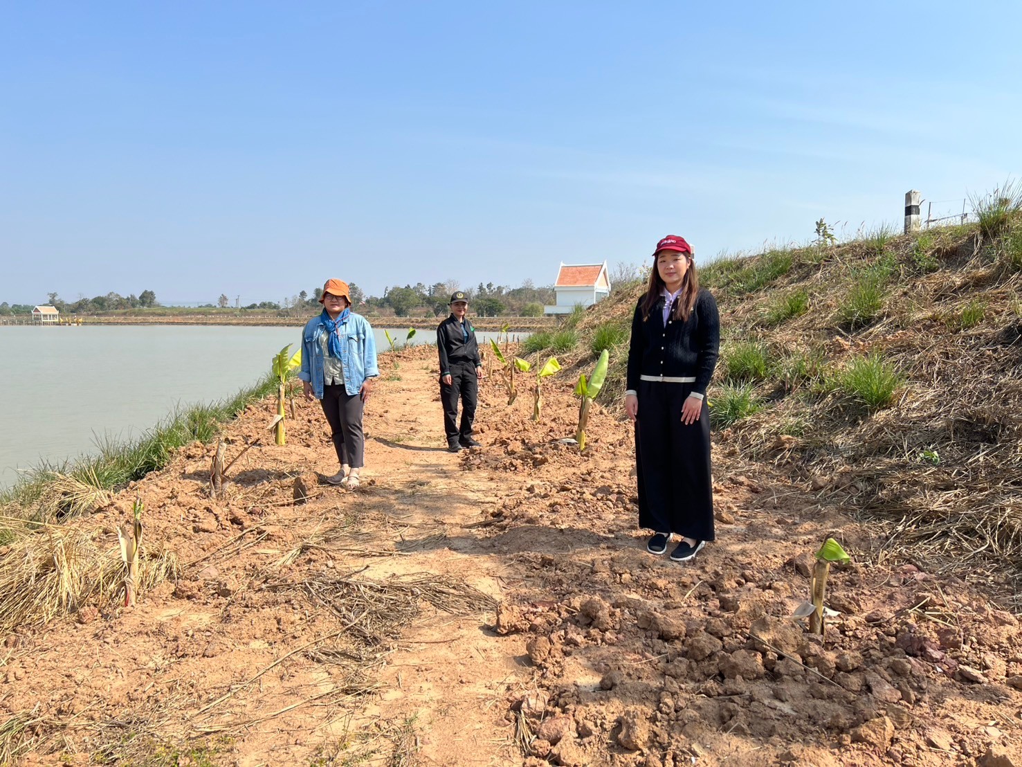 ส่งเสริมการปลูกกล้วยน้ำว้า