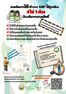 การป้องกันการสวมสิทธิ์ GAP