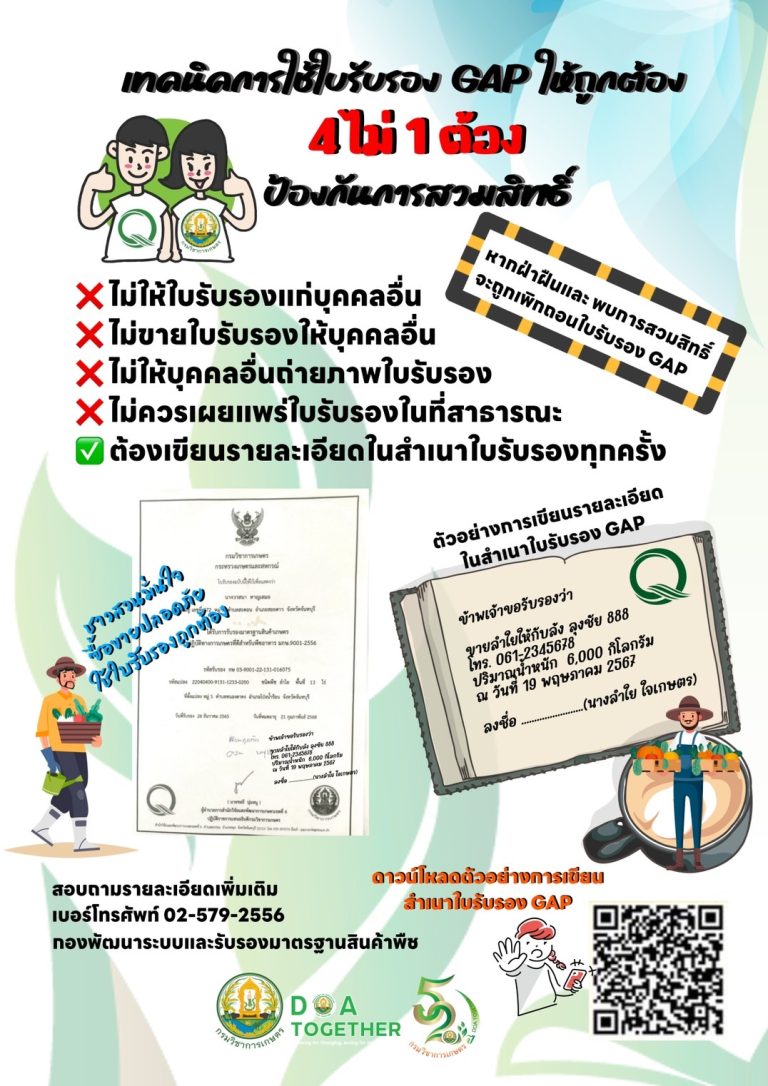 การป้องกันการสวมสิทธิ์ GAP